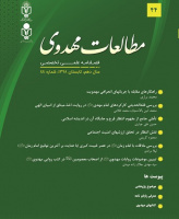 مطالعات مهدوی