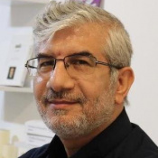 هادی وکیلی